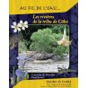 Les rivières de la tribu de Câba