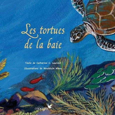 Les tortues de la baie