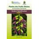 Plantes des forêts sèches de NC, tome 2