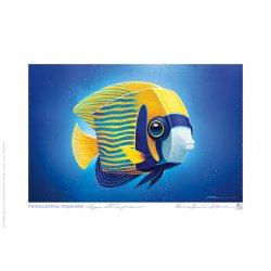 Affiche A4 Poisson ange empereur