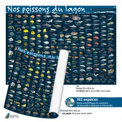 Affiche Nos poissons du lagon (120 x 85,8 cm sur bâche)