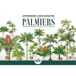 Apprendre à reconnaître les palmiers endémiques de Nouvelle-Calédonie