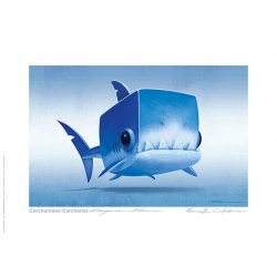 Carte postale Requin blanc