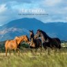 Le cheval en Nouvelle-Calédonie
