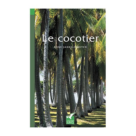 Le cocotier
