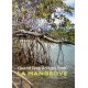 La mangrove. Quand l'eau devient forêt