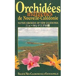 Orchidées indigènes de Nouvelle-Caledonie