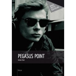Pegasus point