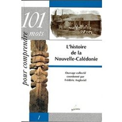 L'histoire de la NC (101 mots pour comprendre) - épuisé