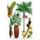 Tirage d'art Palmiers de Nouvelle-Calédonie GM