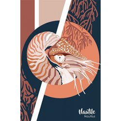 Carte postale Nautile (dessin de l'artiste Marie Luneau)