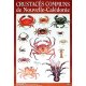Affiche crustacés (crabes) de Nouvelle-Calédonie