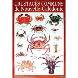 Affiche crustacés (crabes) de Nouvelle-Calédonie