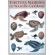 Affiche tortues marines de Nouvelle-Calédonie