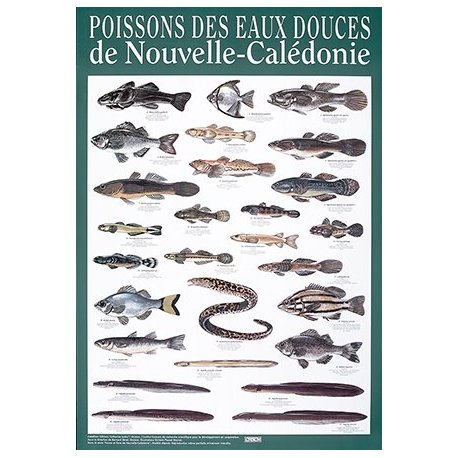 Affiche poissons des eaux douces de Nouvelle-Calédonie