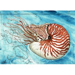 Tirage d'art Aquarelle sur carte marine 18 x 24 cm