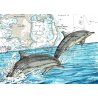 Tirage d'art Aquarelle sur carte marine 18 x 24 cm