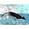 Tirage d'art Aquarelle sur carte marine 18 x 24 cm