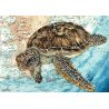 Tirage d'art Aquarelle sur carte marine 18 x 24 cm