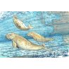 Tirage d'art Aquarelle sur carte marine 30 x 40 cm