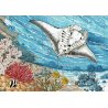 Tirage d'art Aquarelle sur carte marine 40 x 50 cm