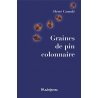 Graines de pin colonnaire