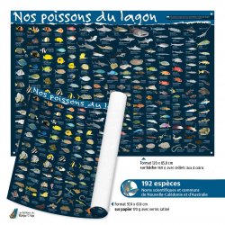 Affiche Nos poissons du lagon (format 97,4 x 67,4 cm)