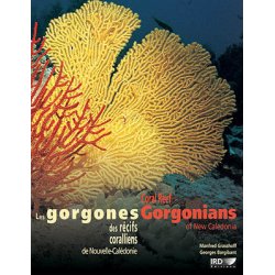 Les gorgones des récifs coralliens de Nouvelle-Calédonie