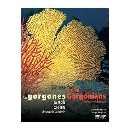 Les gorgones des récifs coralliens de Nouvelle-Calédonie