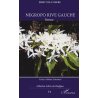 Négropo, rive gauche