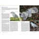 Guide expert des oiseaux de Nouvelle-Calédonie