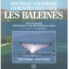 Rendez-vous avec les baleines (occasion)