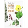 Guide des plantes du chemin kanak