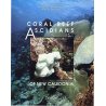 Coral reef ascidians of New Caledonia