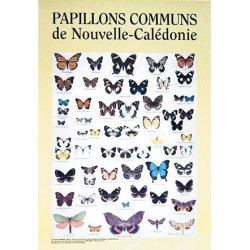 Affiche papillons de Nouvelle-Calédonie