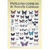Affiche papillons de Nouvelle-Calédonie