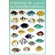 Affiche poissons du lagon de NC n°1