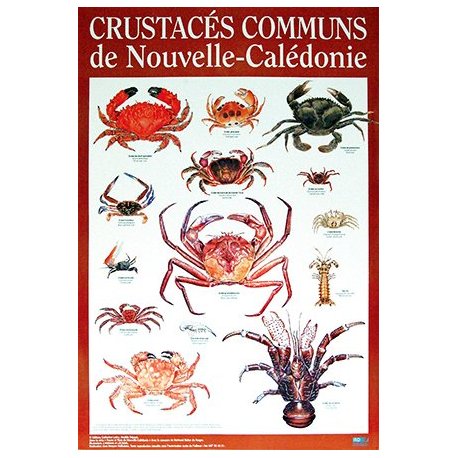 Affiche crustacés (crabes) de Nouvelle-Calédonie