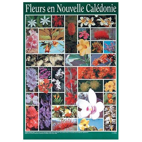 Affiche fleurs de Nouvelle-Calédonie