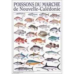 Affiche poissons du marché de Nouvelle-Calédonie