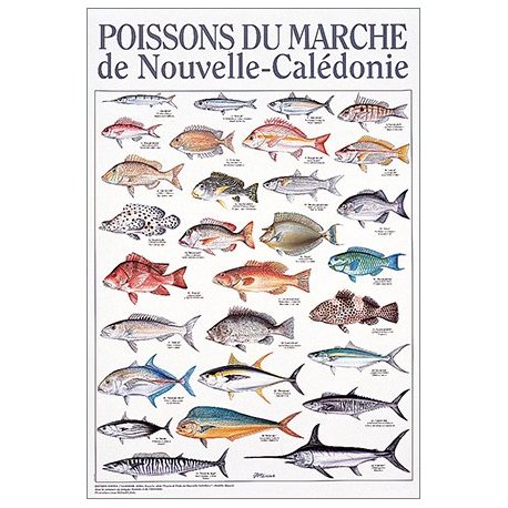 Affiche poissons du marché de Nouvelle-Calédonie