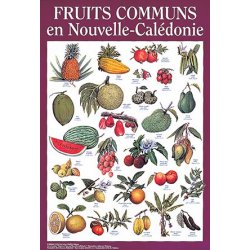 Affiches fruits de Nouvelle-Calédonie