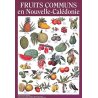 Affiches fruits de Nouvelle-Calédonie