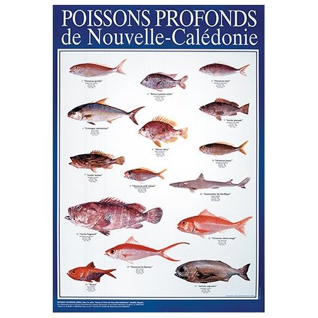 Affiche poissons profonds de Nouvelle-Calédonie