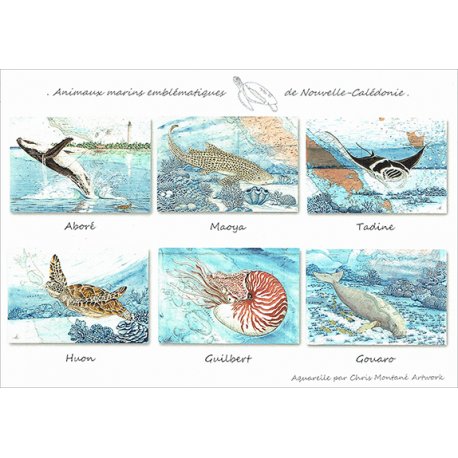 Lot de 6 cartes postales Animaux marins emblématiques de Nouvelle-Calédonie