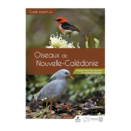 Guide expert des oiseaux de Nouvelle-Calédonie