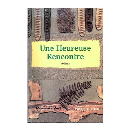 Une heureuse rencontre (occasion)