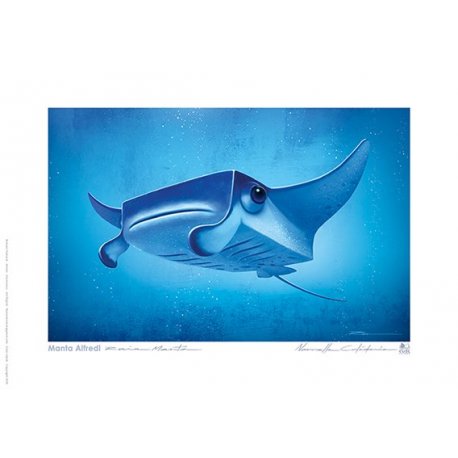 Carte postale Raie Manta