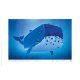 Carte postale Baleine bleue