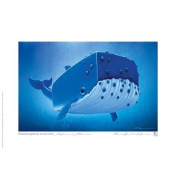 Carte postale Baleine bleue